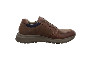 ARA 37801 GORETEX<br>Marron