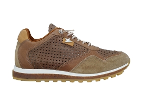 CETTI C848  PERFO HOM<br>Tan