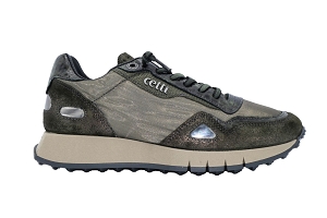 44587 C 1325 SRA:Kaki