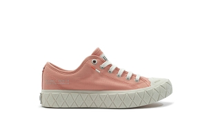 PALLADIUM PALLA  ACE TOILE<br>Orange