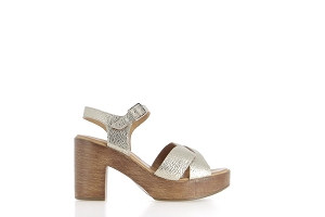  MUSSIEGES<br>Champagne