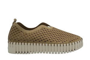  TULIP 3373 GSEM<br>Taupe