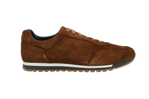  26464BASKTCOGNAC<br>Buck Marron