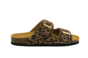  BETA METAL KAKIMUSH<br>Vert